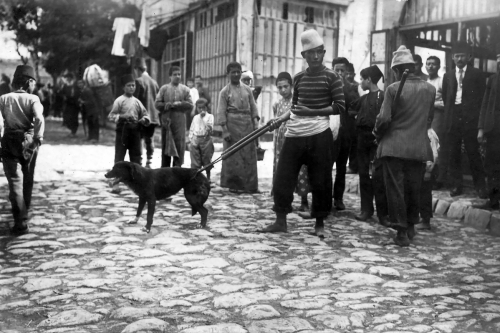 Dört Ayaklı Belediye: İstanbul’un Sokak Köpekleri Sergisi 22 Nisan’a Kadar Uzatıldı!