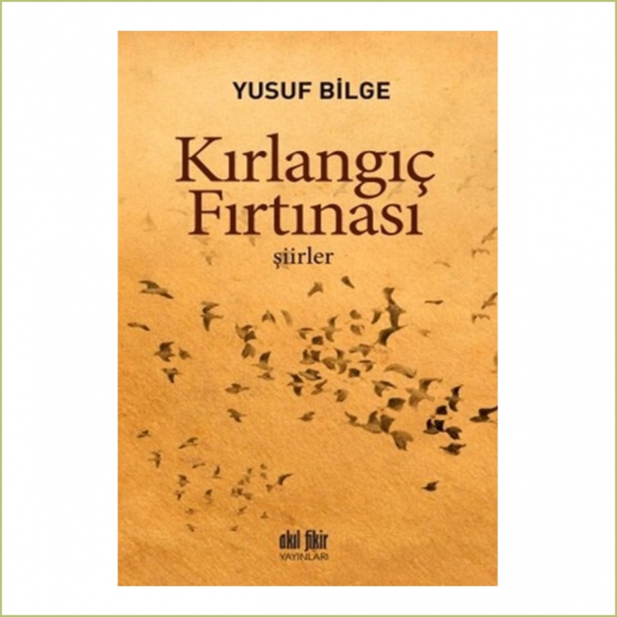 Kırlangıç Fırtınası